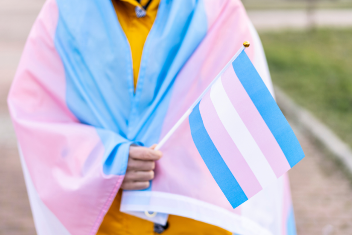 Person wrapped in transgender pride flag