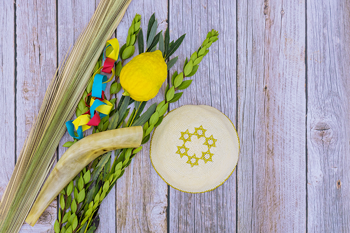 sukkot lulav and etrog