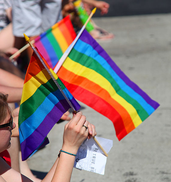 LGBT Equality Flags