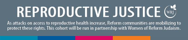 reproductive justice