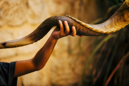 An arm extending into the frame holding a shofar as if blowing into it off screen