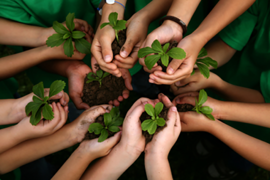 Photo of hands holding dirt and plants in a circle