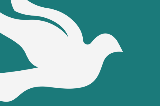 White Dove on Teal background