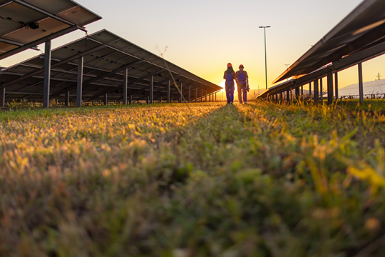 Photo of two people walking while surrounded by solar panels