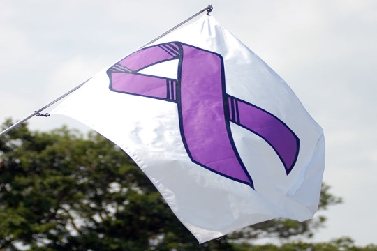 Domestic violence flag
