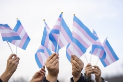 trans rights flags and hands
