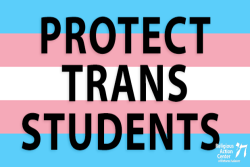 Transgender pride flag with words "protect trans students" 